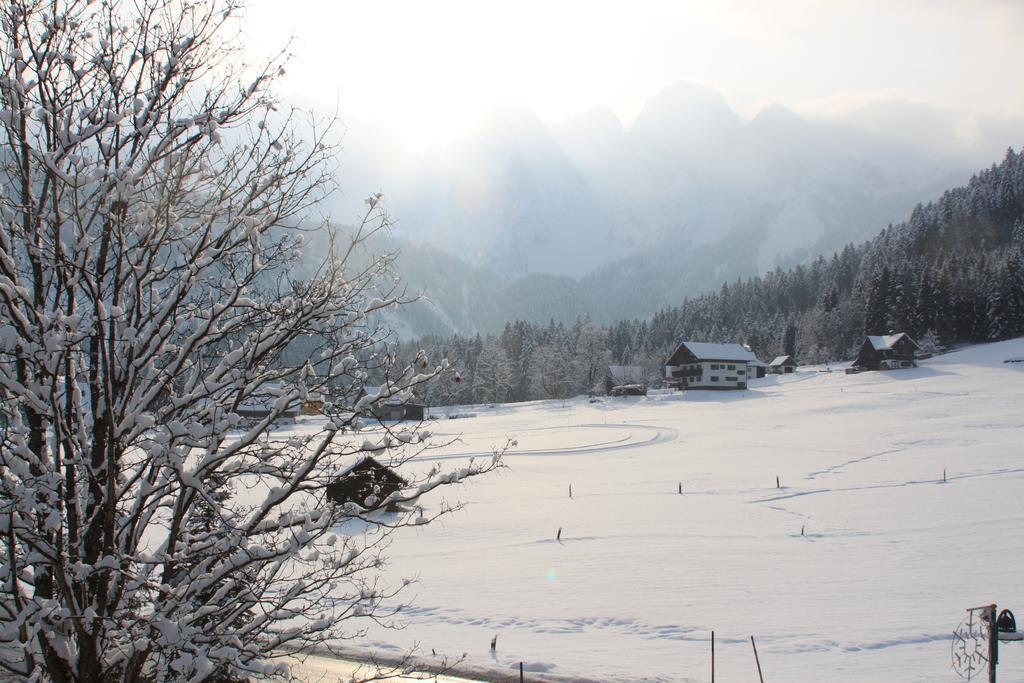 Muehlradl Apartments Gosau Exteriör bild