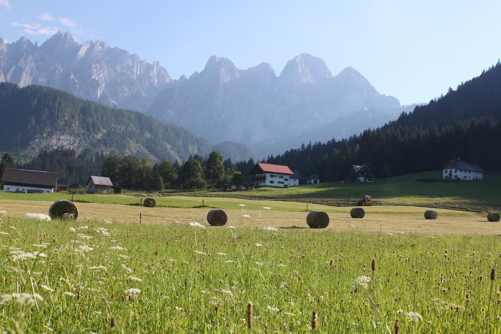 Muehlradl Apartments Gosau Rum bild
