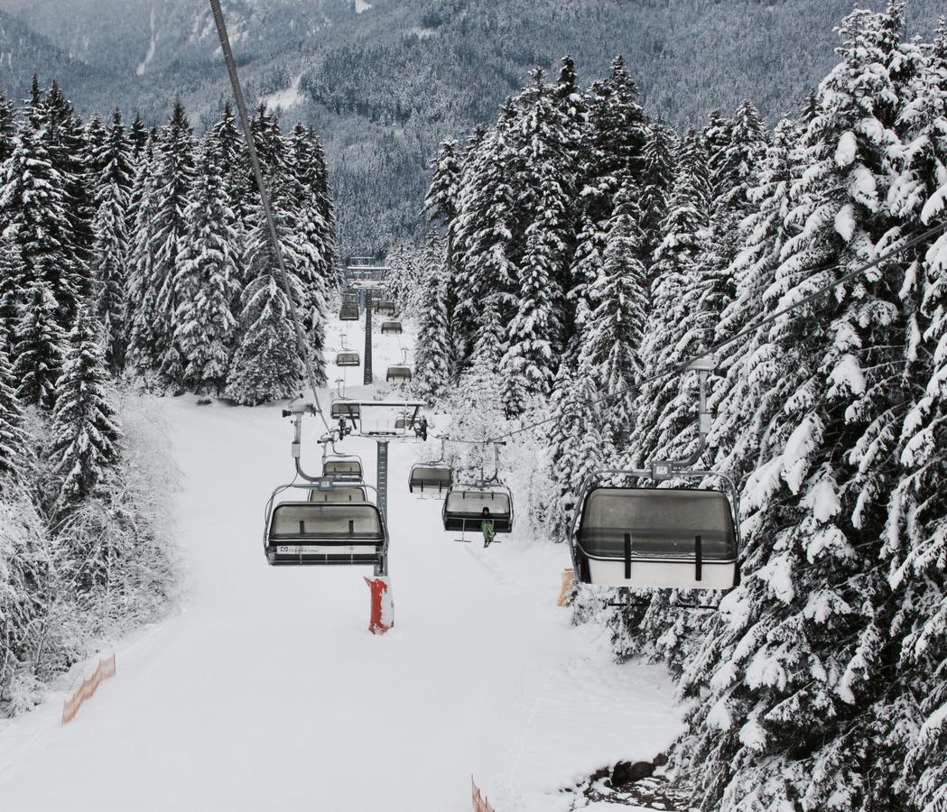 Muhlradl Apartments Gosau Exteriör bild